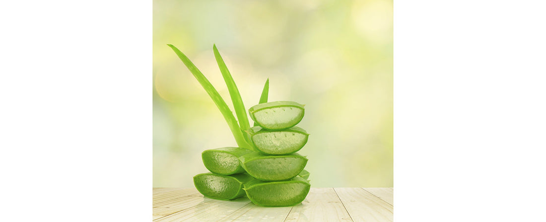 Aloe Vera and Skin Care?