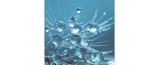 What is Hyaluronic Acid?