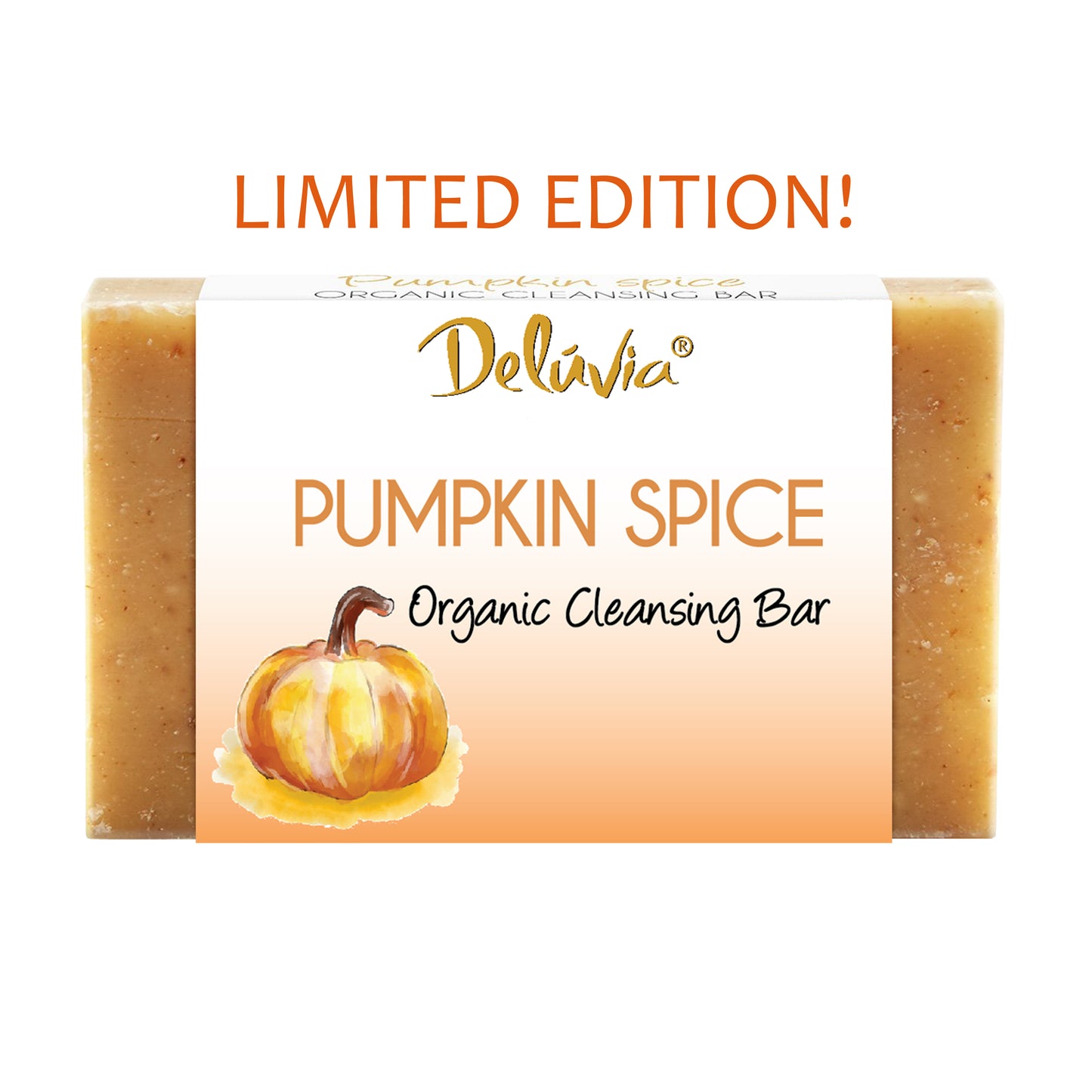 Limited Edition Pumpkin Spice Soap Bar